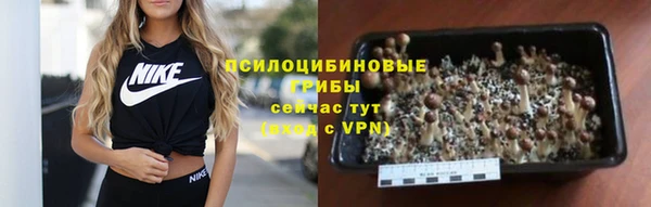 мет Богородицк
