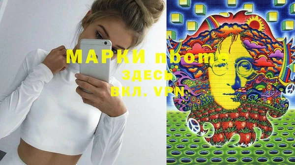 дмт Пестово