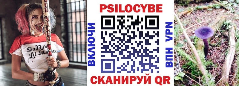 купить наркоту  Катайск  гидра   Галлюциногенные грибы Psilocybine cubensis 